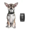 pet21 Family Circle PetLink