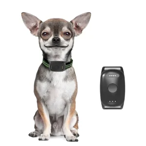 Family Circle PetLink
