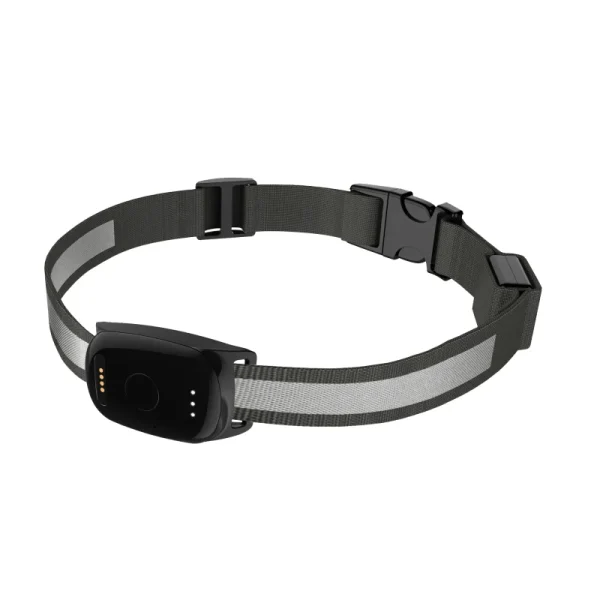 pet44 Family Circle PetLink